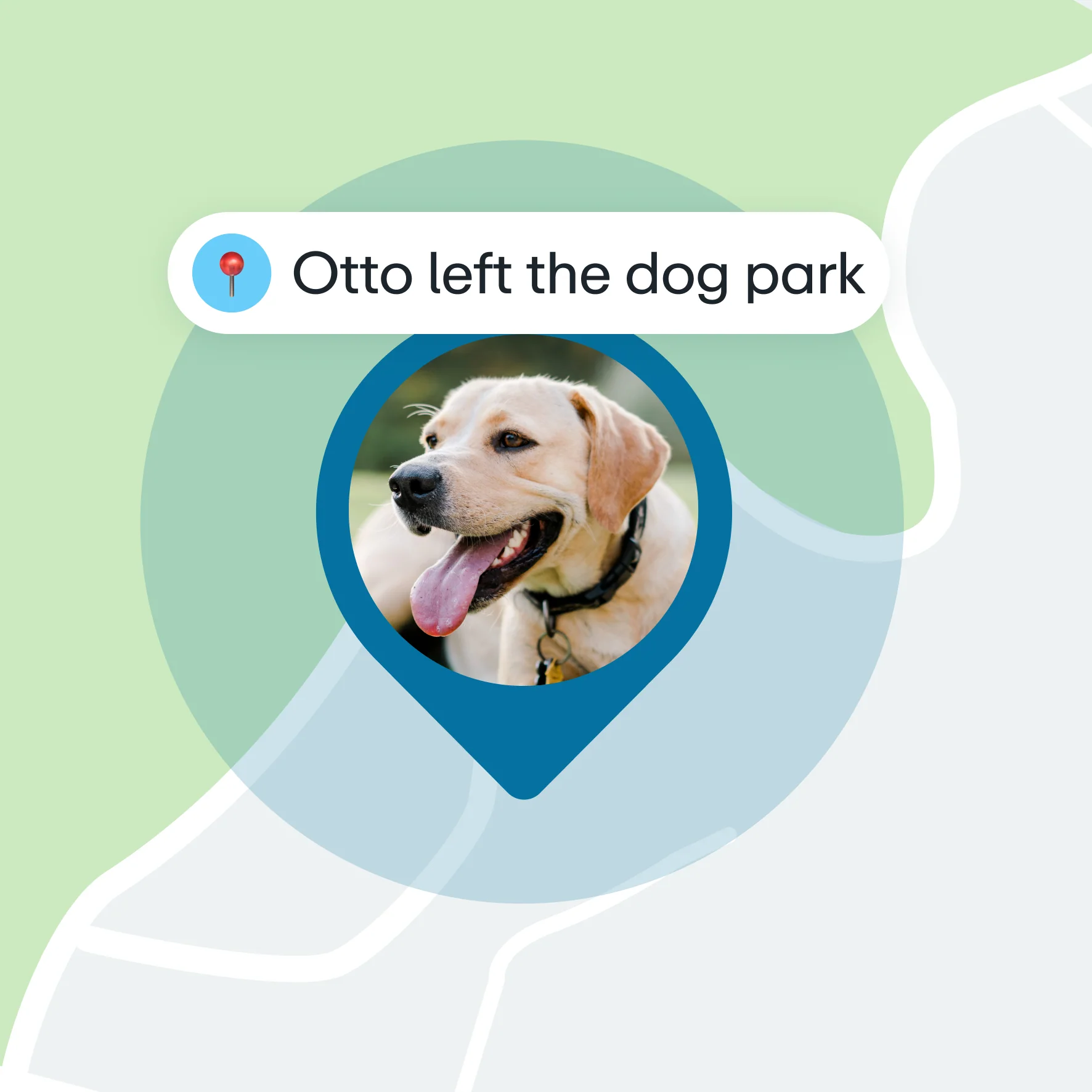 Greenlight Safe Pets - GPS tracker - Image 4